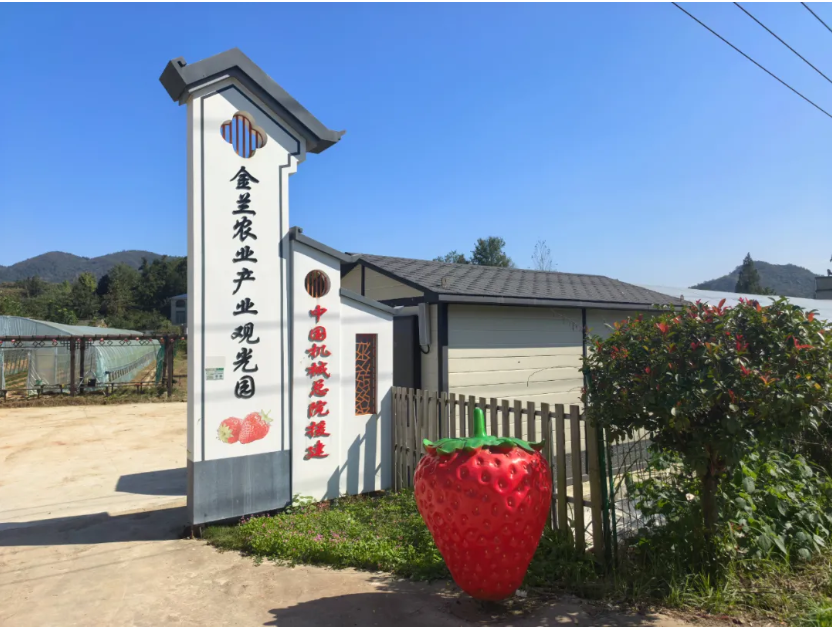 科技點亮農業，云飛科技助力金蘭產業園溫室大棚智慧化改造